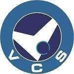 Consultant Logo 3